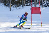 Около 200 юных сахалинских горнолыжников соревновались на горе Парковой, Фото: 14