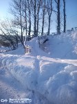 Городской парк в Александровске-Сахалинском не чистят от снега, потому что нечем, Фото: 3