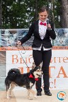 В рамках выставки беспородных собак в Южно-Сахалинске 8 питомцев обрели хозяев, Фото: 154