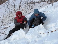 Исследования молодых сахалинских ученых дали важные результаты , Фото: 5