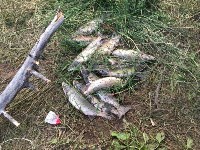 Факты незаконного вылова ценных пород рыбы зафиксировали в Охинском районе, Фото: 10