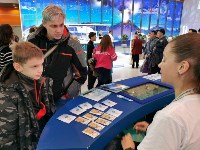 Выставка "Россия" на ВДНХ знакомит посетителей с сахалинским спортом, Фото: 2