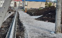 "Сквер танцующих деревьев" появится в Курильске к концу ноября, Фото: 10