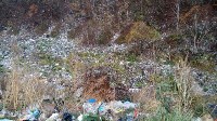 В Холмске свалку бытовых отходов признали незаконной, Фото: 6