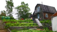 Сахалинские садоводы из-за холодного июня не надеются на хороший урожай, Фото: 8