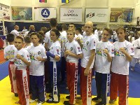Сахалинские кикбоксеры завоевали семь медалей на всероссийском турнире в Анапе, Фото: 18