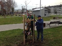 Акция по посадке деревьев прошла в сквере Ждакаева, Фото: 3
