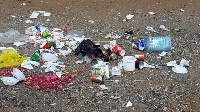 Семья из Южно-Сахалинска убрала мусор за отдыхающими на пляже в Пригородном , Фото: 5