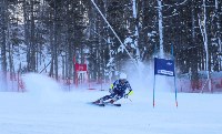 Областные соревнования собрали больше 50 горнолыжников в Южно-Сахалинске, Фото: 18