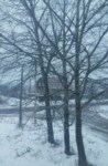 Первый снег на Сахалине, Фото: 11