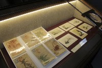 Сахалинцам показали открытки на бересте и письмо Чехова, Фото: 3