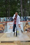 В рамках выставки беспородных собак в Южно-Сахалинске 8 питомцев обрели хозяев, Фото: 190