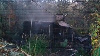 Пожар в СНТ "Колос" потушили в Южно-Сахалинске, Фото: 4