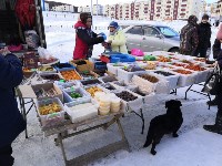 Креветку за 250 рублей могут купить сахалинцы на ярмарке в Томари, Фото: 2