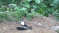 Угнанный два дня назад мотоцикл нашли в Южно-Сахалинске, Фото: 5
