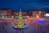 Жителей Корсакова приглашают провести новогодние каникулы на катке, Фото: 8