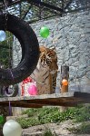 Тигру в сахалинском зоопарке исполнилось 9 лет, Фото: 7