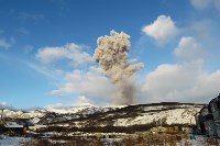 Пятикилометровое облако пепла выбросил вулкан на Парамушире, Фото: 3