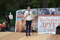 В рамках выставки беспородных собак в Южно-Сахалинске 8 питомцев обрели хозяев, Фото: 289
