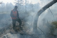 Ответственность за ликвидацию пожаров будут нести главы районов Сахалинской области , Фото: 3