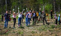 Сотни сахалинцев приняли участие во Всероссийской акции посадки леса, Фото: 1