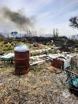 Более 20 гектаров выгорело: с начала года в Сахалинской области потушили 41 пал травы, Фото: 8