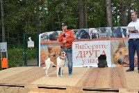 В рамках выставки беспородных собак в Южно-Сахалинске 8 питомцев обрели хозяев, Фото: 60