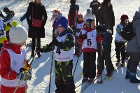 Соревнования по лыжным гонкам, Фото: 19