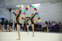 Юные сахалинские гимнастки определили сильнейших на региональных первенстве и турнире, Фото: 3