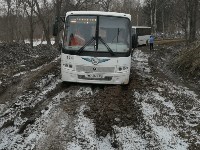 Очередной рейсовый автобус увяз в грязи в Елочках, Фото: 1