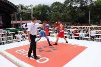 На Сахалине отметили международный день бокса, Фото: 45
