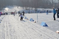Соревнования по лыжным гонкам, Фото: 15