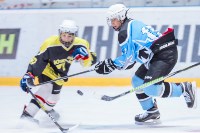 Областной чемпионат по хоккею среди юниорских дворовых команд , Фото: 1