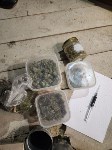 Плантацию конопли оборудовал на крыше своего дома сахалинец, Фото: 1