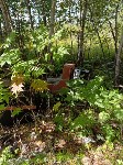 Мешки с тухлой рыбой выкинули у речки в Южно-Сахалинске, Фото: 3