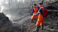 В Корсаковском районе горит трава, Фото: 13