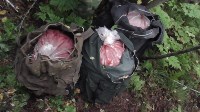 Схрон со 150 килограммами красной икры обнаружили сахалинские пограничники, Фото: 4