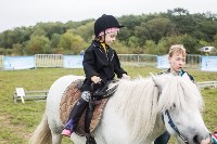 Соревнования по адаптивному конному спорту прошли в Южно-Сахалинске, Фото: 10