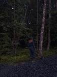 Мужчина залез на дерево, спасаясь от медведя в Южно-Сахалинске, Фото: 3