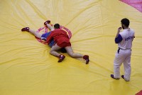 Больше 150 юных спортсменов сразились во Всероссийский день самбо , Фото: 45
