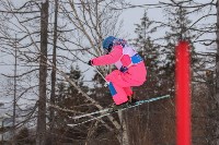 Чемпионат России по фристайлу: Фото 12 Чемпионат России по фристайлу, Фото: 12