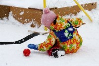 Кубок "Хоккея в валенках" разыграют четыре лучших хоккейных детских сада, Фото: 2