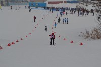 Около 300 лыжников Сахалина соревнуются за звание «Юного Динамовца», Фото: 29