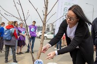 Южно-Сахалинск присоединился к масштабной акции "Сад памяти", Фото: 1