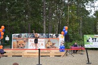 В рамках выставки беспородных собак в Южно-Сахалинске 8 питомцев обрели хозяев, Фото: 150
