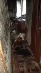 Пожар из-за электроприбора произошёл в Корсакове, Фото: 10