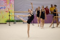 Красота и грациозность: тренировка по эстетической гимнастике прошла в Южно-Сахалинске, Фото: 1