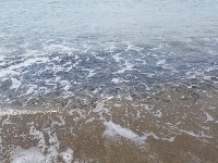 Нерестящаяся мойва выбрасывается на берег в Охотском , Фото: 7