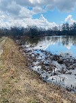 Свалку обнаружили в районе очистных сооружений, Фото: 6