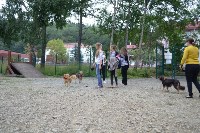 В рамках выставки беспородных собак в Южно-Сахалинске 8 питомцев обрели хозяев, Фото: 121